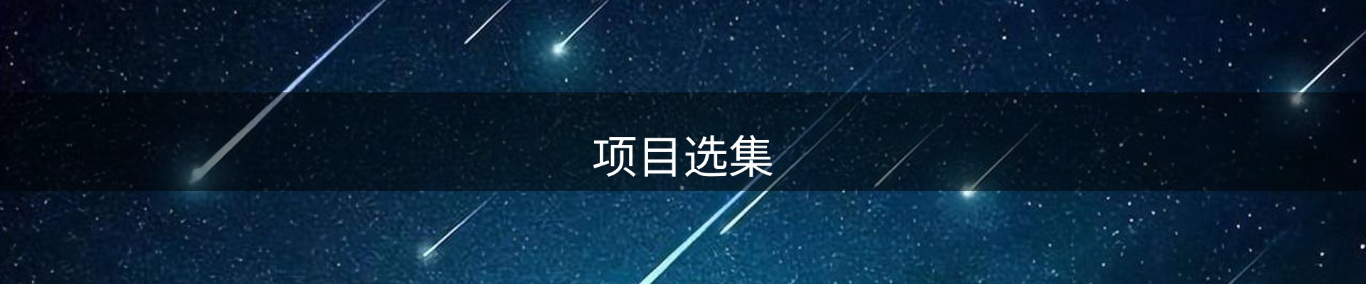 项目选集
